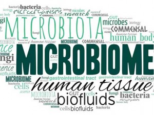 Μικροβίωμα του Εντέρου:  Οφέλη και Ενίσχυση της Υγείας